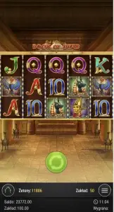 Gra Book of Dead w kasynie Winnerz